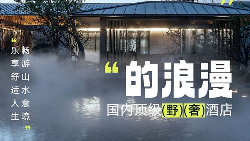 行业背景：连锁品牌的崛起与竞争态势
